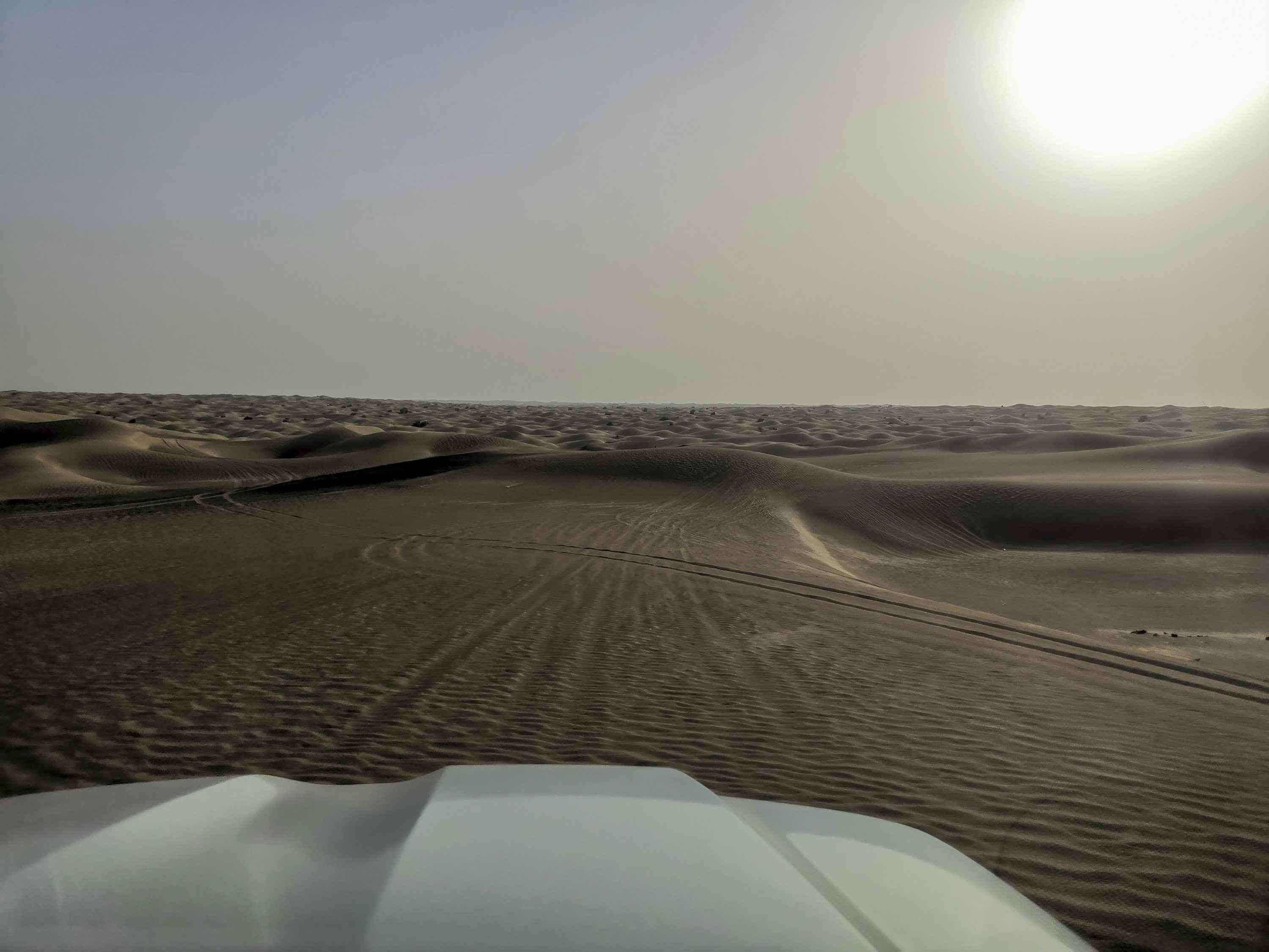 Sunset Dunes